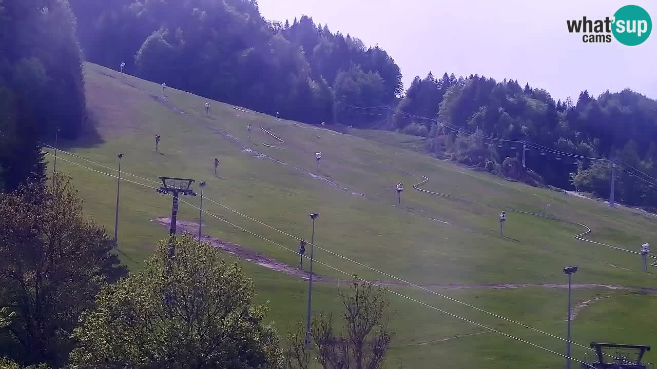 Webcam Estación de esquí Kranjska Gora – Eslovenia