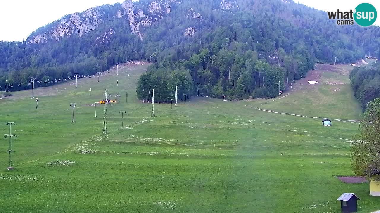 Web kamera Kranjska Gora Skijalište | Proge Mojca in Kekec