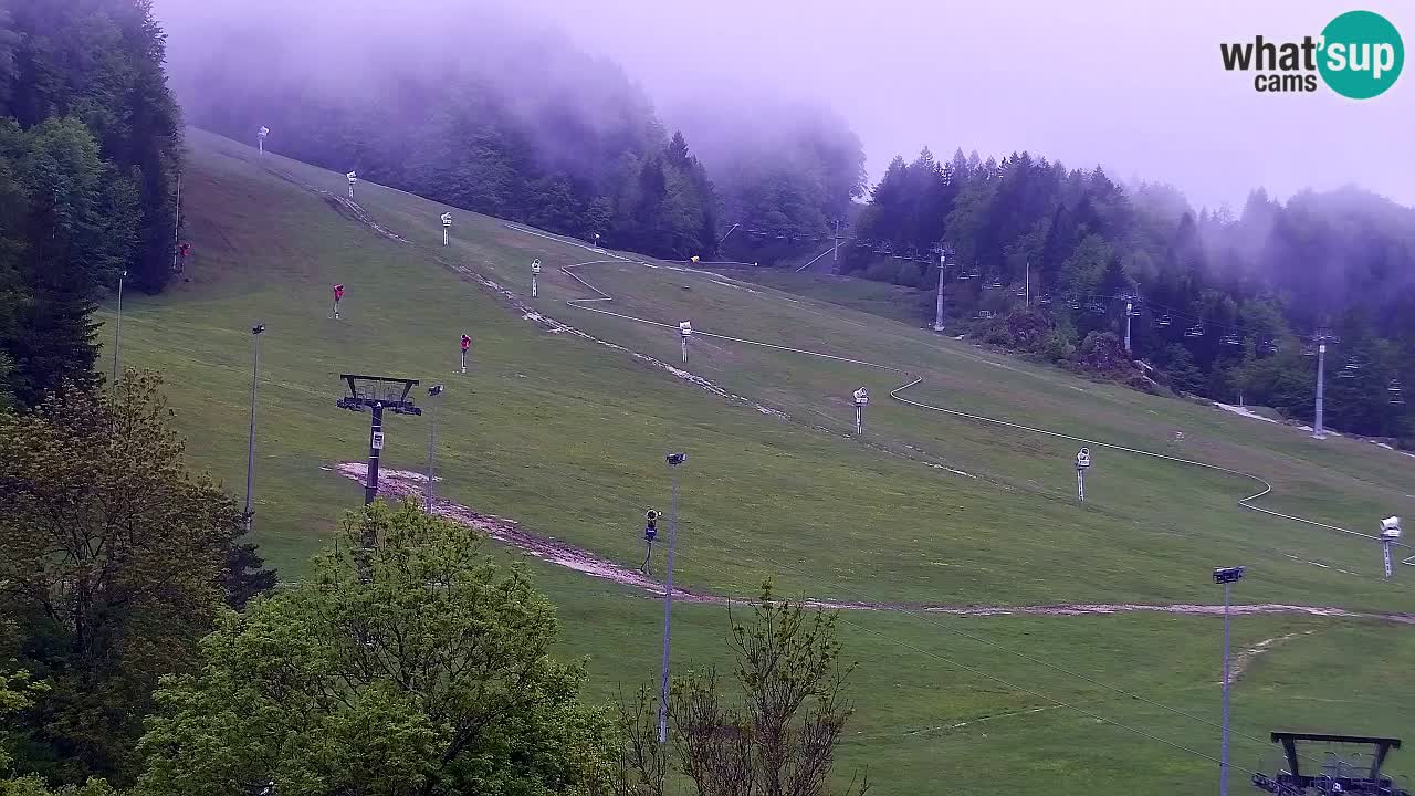 Web kamera Kranjska Gora Skijalište | Proge Mojca in Kekec