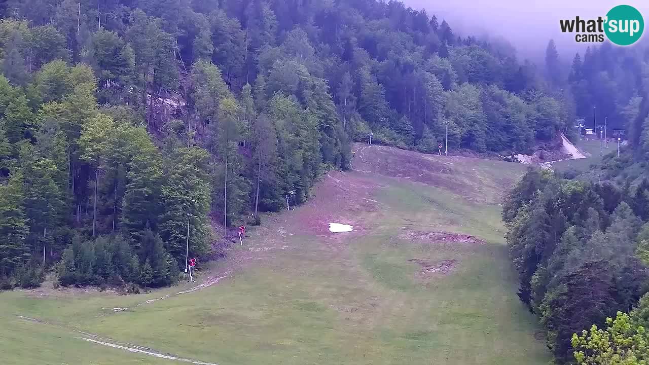 Webcam Estación de esquí Kranjska Gora – Eslovenia