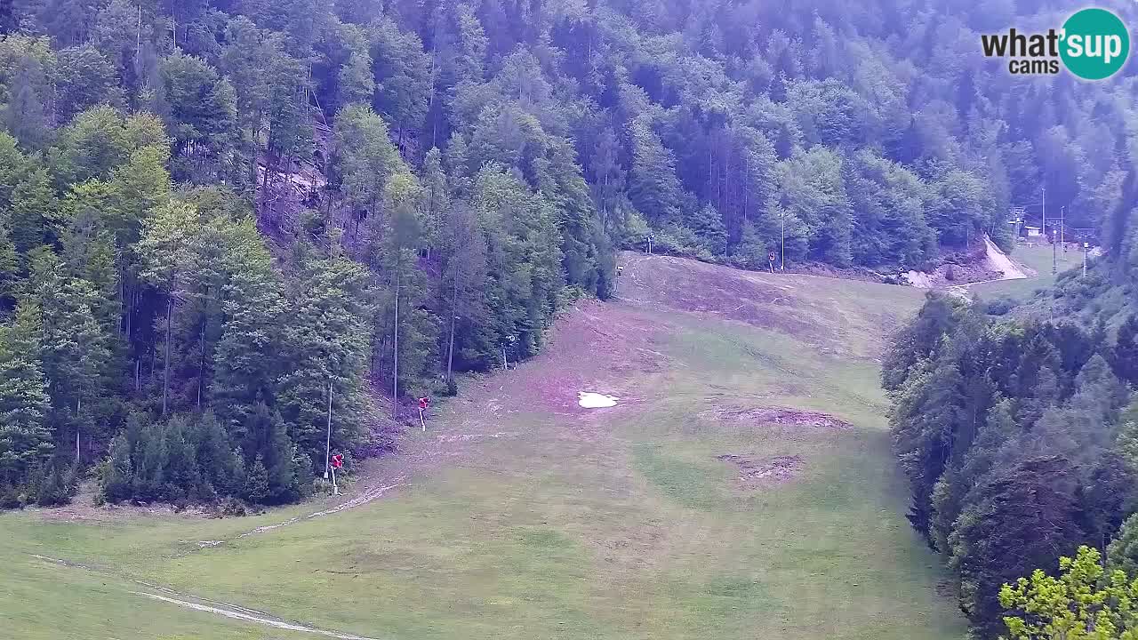 Spletna kamera Smučišče Kranjska Gora