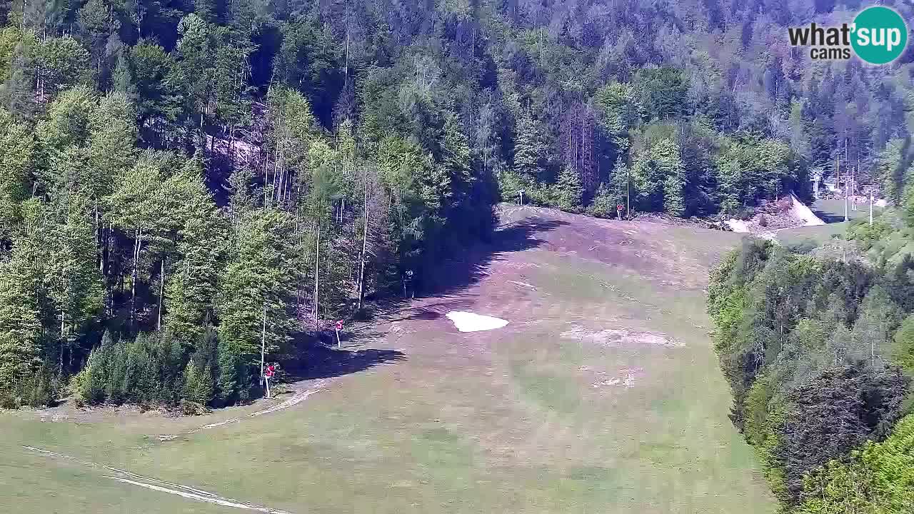Webcam Estación de esquí Kranjska Gora – Eslovenia