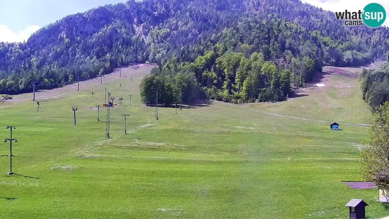 Webcam Ski resort Kranjska Gora – Slovenia