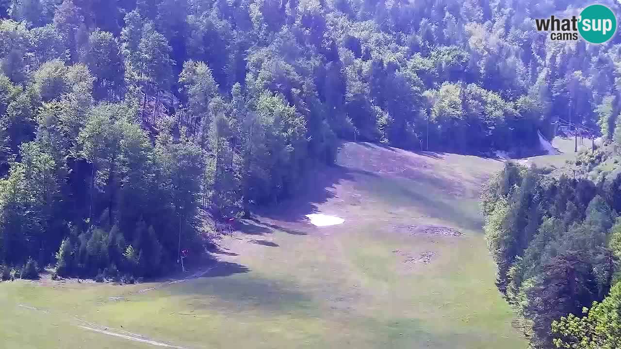 Webcam Skigebiet Kranjska Gora – Slowenien