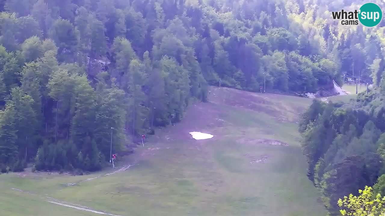 Webcam Station de ski Kranjska Gora – Slovénie