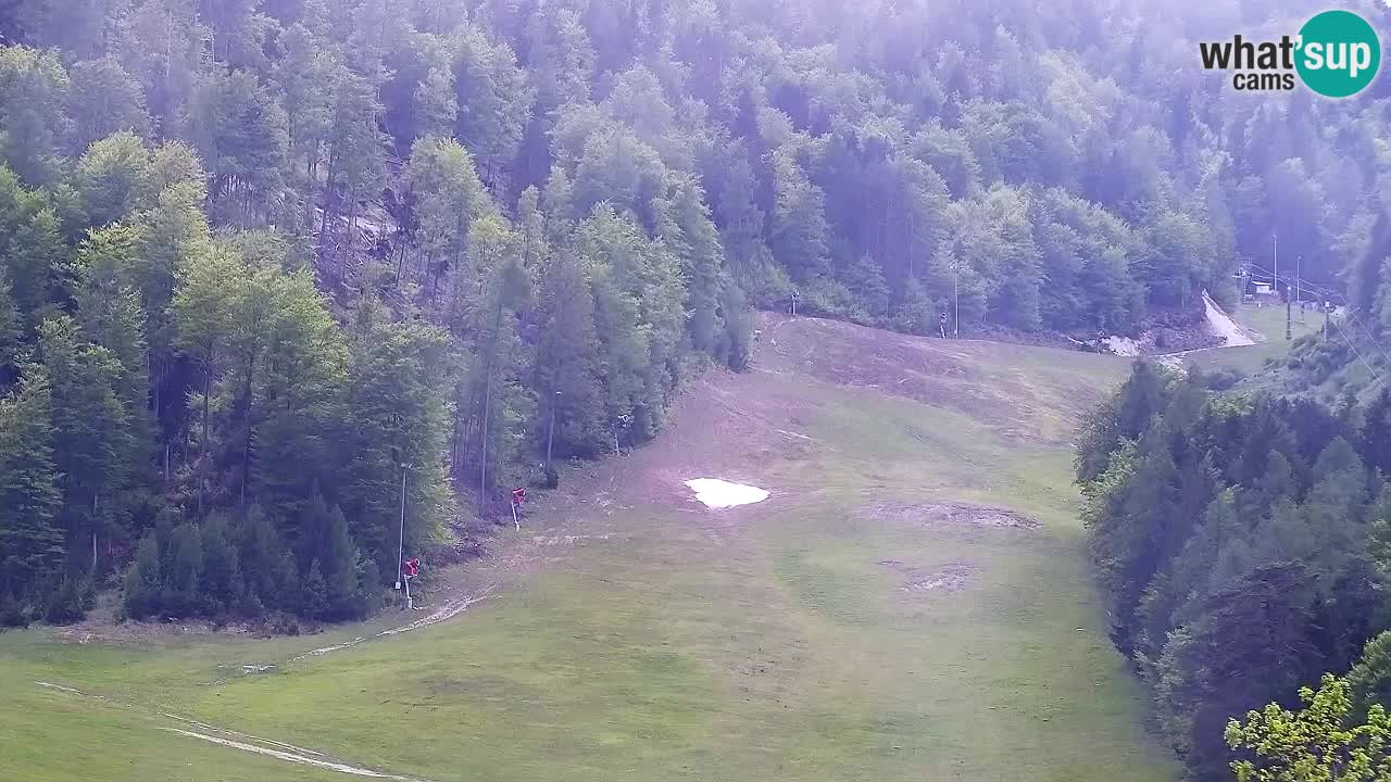 Webcam Estación de esquí Kranjska Gora – Eslovenia