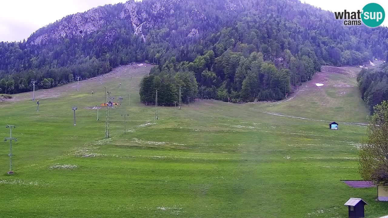 Web kamera Kranjska Gora Skijalište | Proge Mojca in Kekec