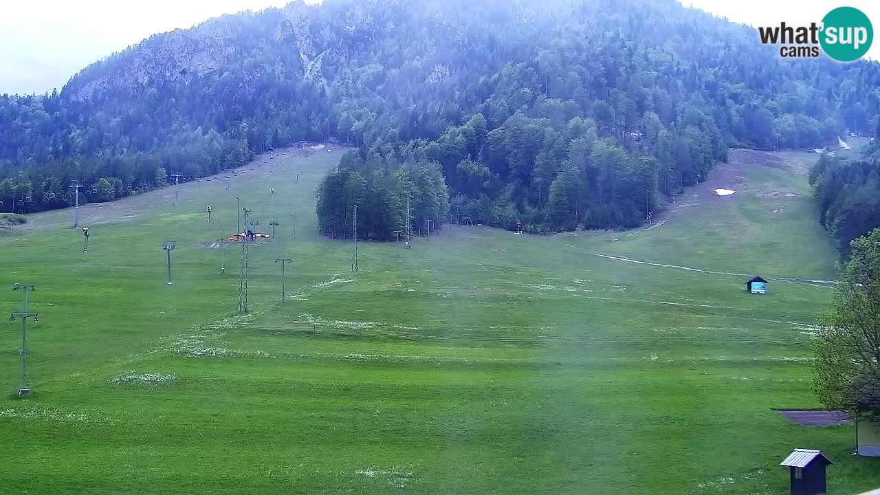 Webcam Kranjska Gora SKI – panoramica Piste centrali