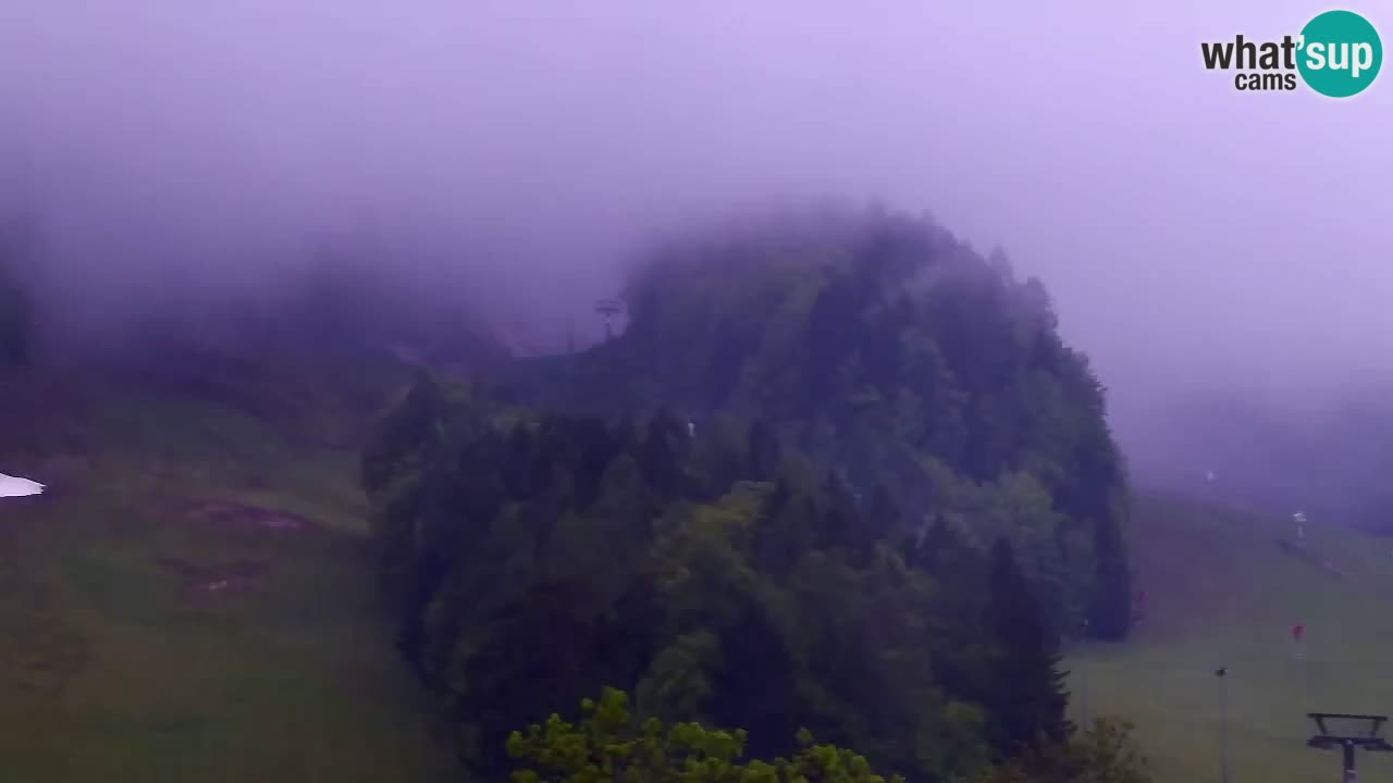 Web kamera Kranjska Gora Skijalište | Proge Mojca in Kekec
