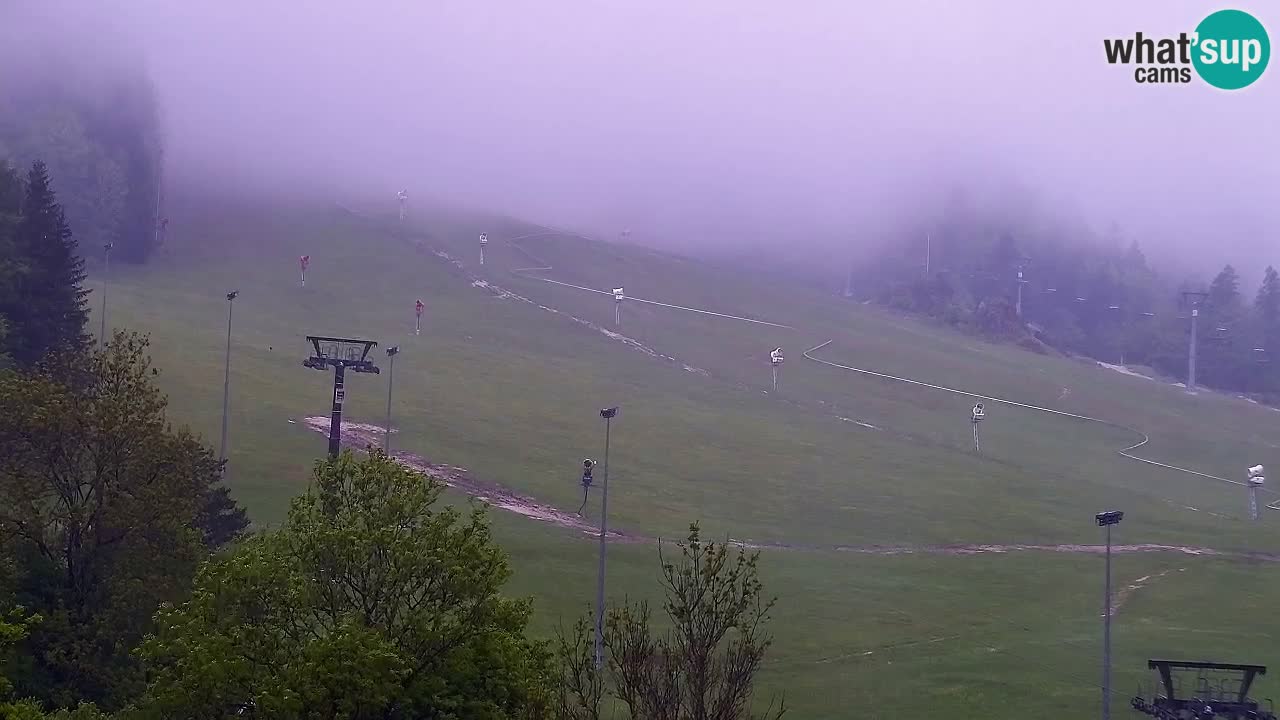 Web kamera Kranjska Gora Skijalište | Proge Mojca in Kekec