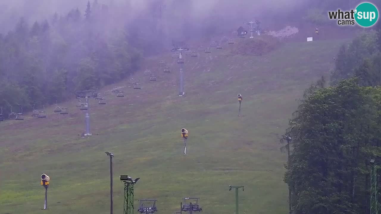 Webcam Kranjska Gora SKI – panoramica Piste centrali