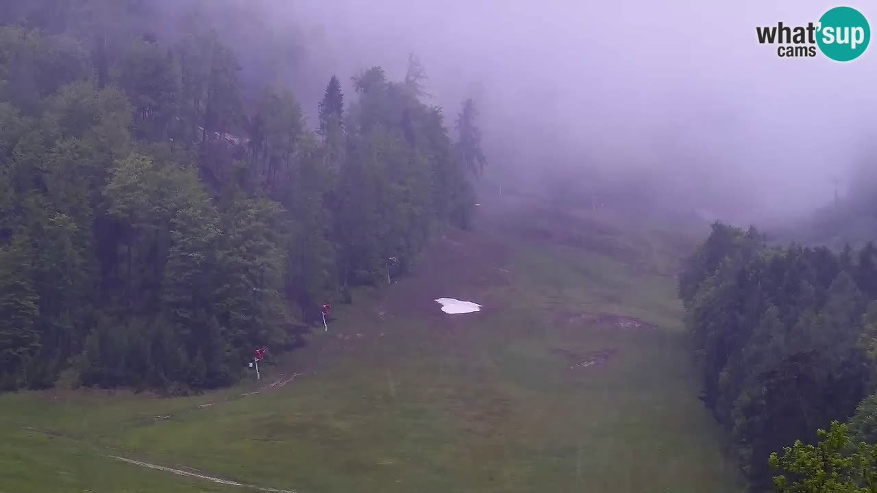 Webcam Kranjska Gora SKI – panoramica Piste centrali