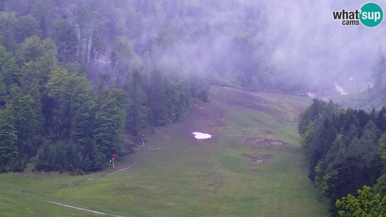 Web kamera Kranjska Gora Skijalište | Proge Mojca in Kekec