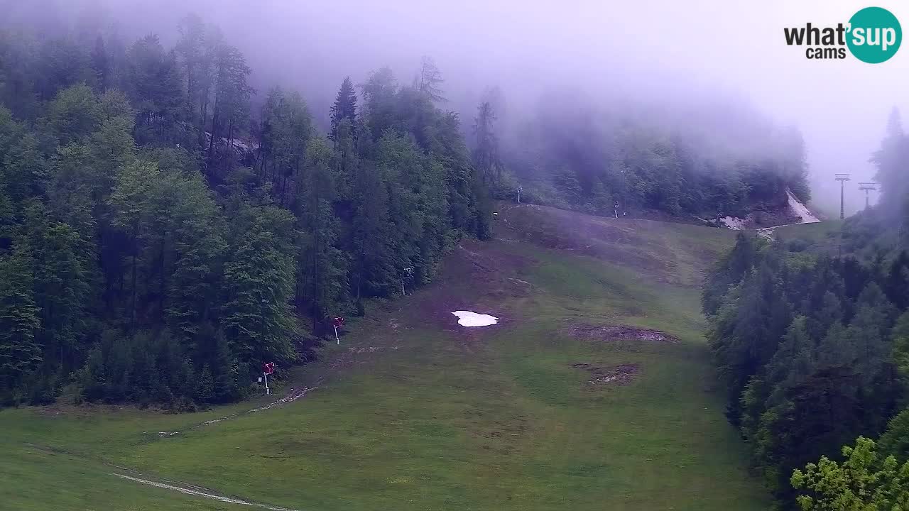 Web kamera Skijalište Kranjska Gora – Slovenija