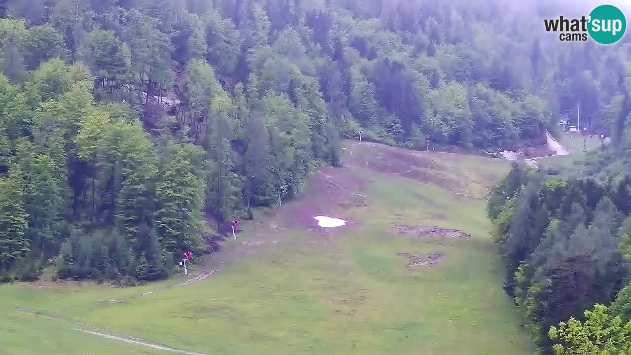 Webcam Kranjska Gora SKI – panoramica Piste centrali