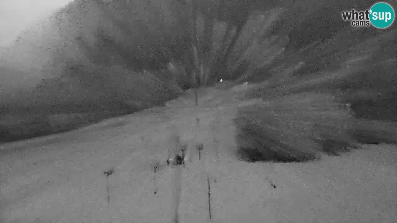 Webcam Station de ski Kranjska Gora – Slovénie