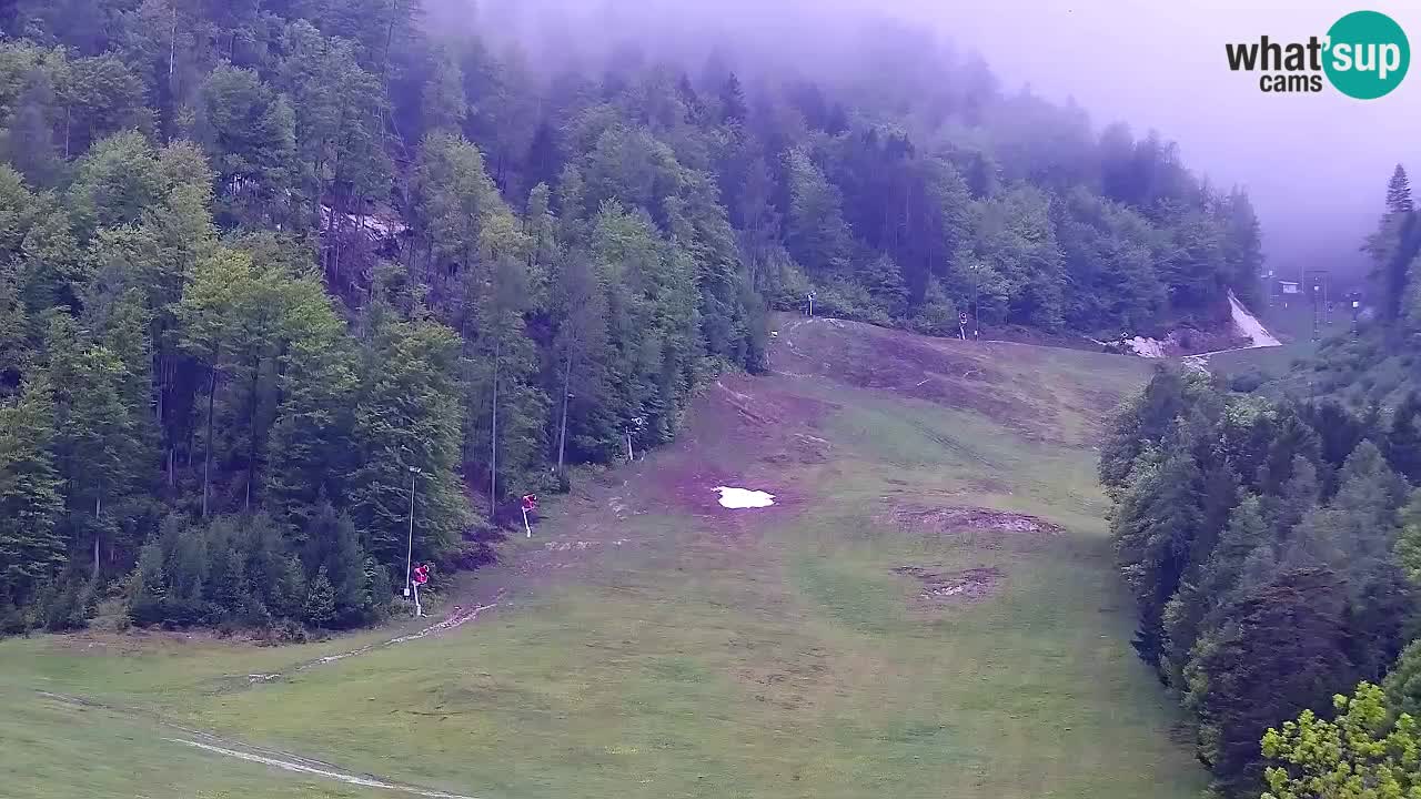 Webcam Station de ski Kranjska Gora – Slovénie