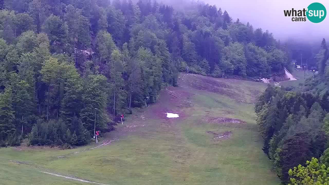 Webcam Ski resort Kranjska Gora – Slovenia