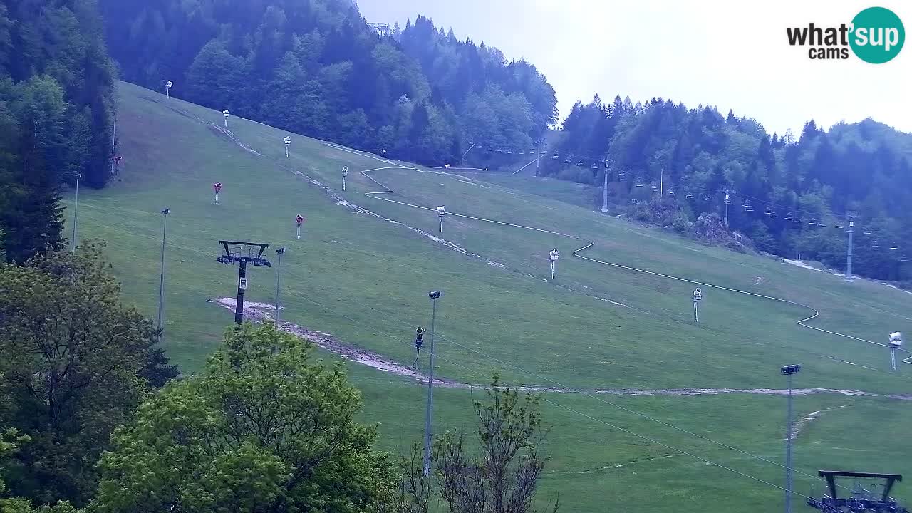 Web kamera Kranjska Gora Skijalište | Proge Mojca in Kekec