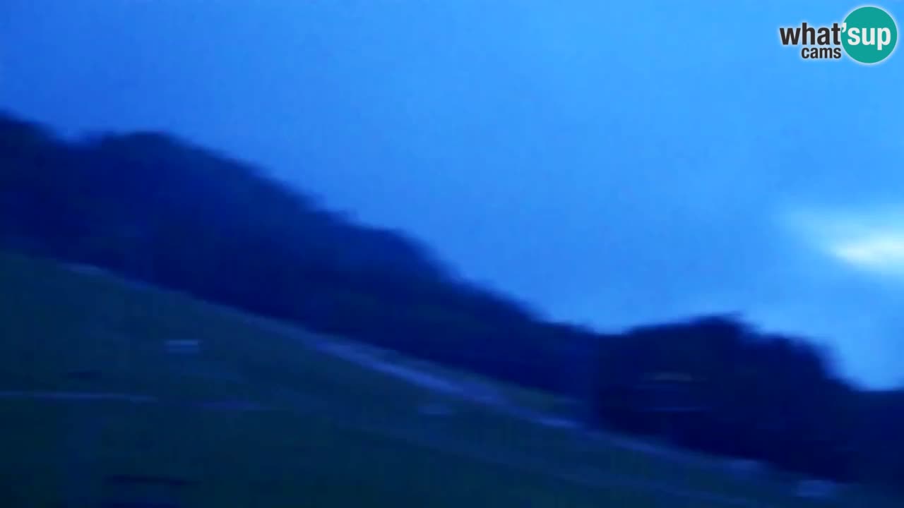 Spletna kamera Smučišče Kranjska Gora
