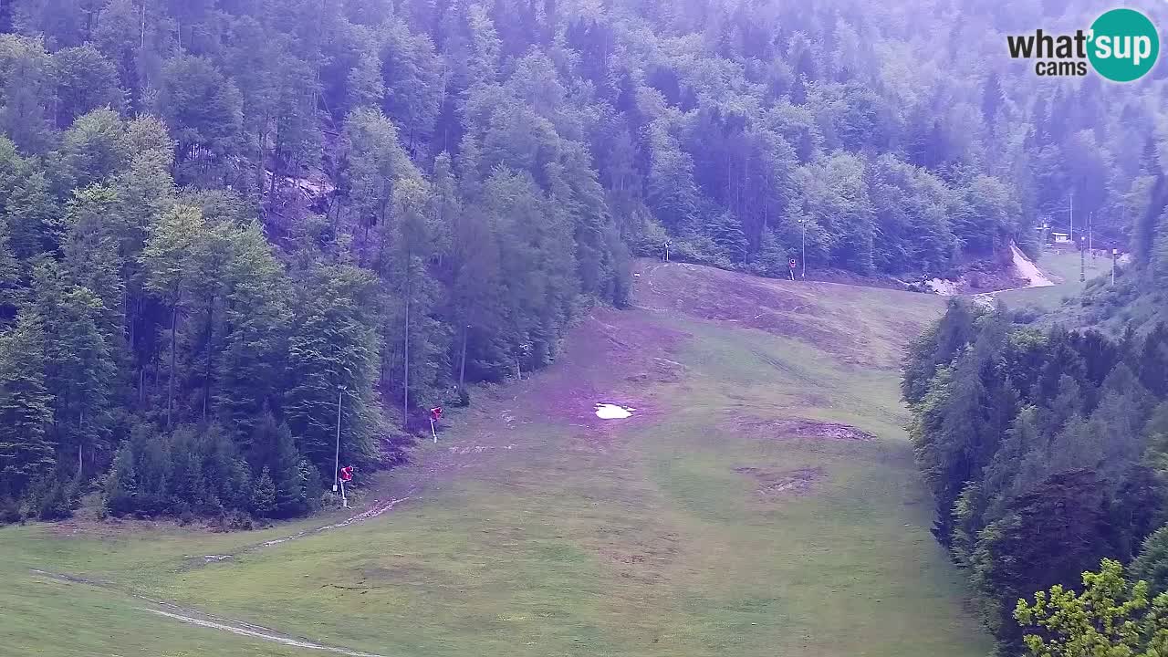 Webcam Estación de esquí Kranjska Gora – Eslovenia