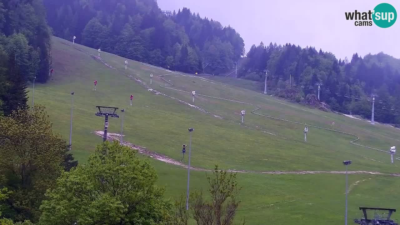 Webcam Kranjska Gora SKI – panoramica Piste centrali