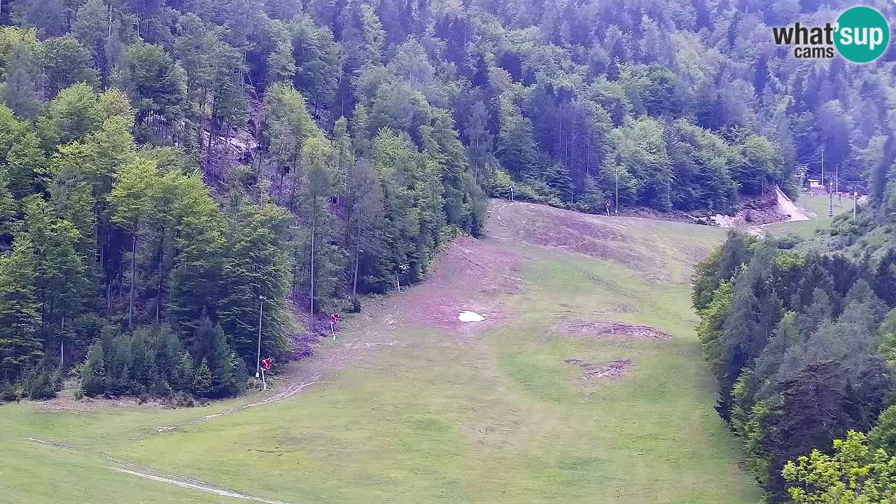 Spletna kamera Smučišče Kranjska Gora