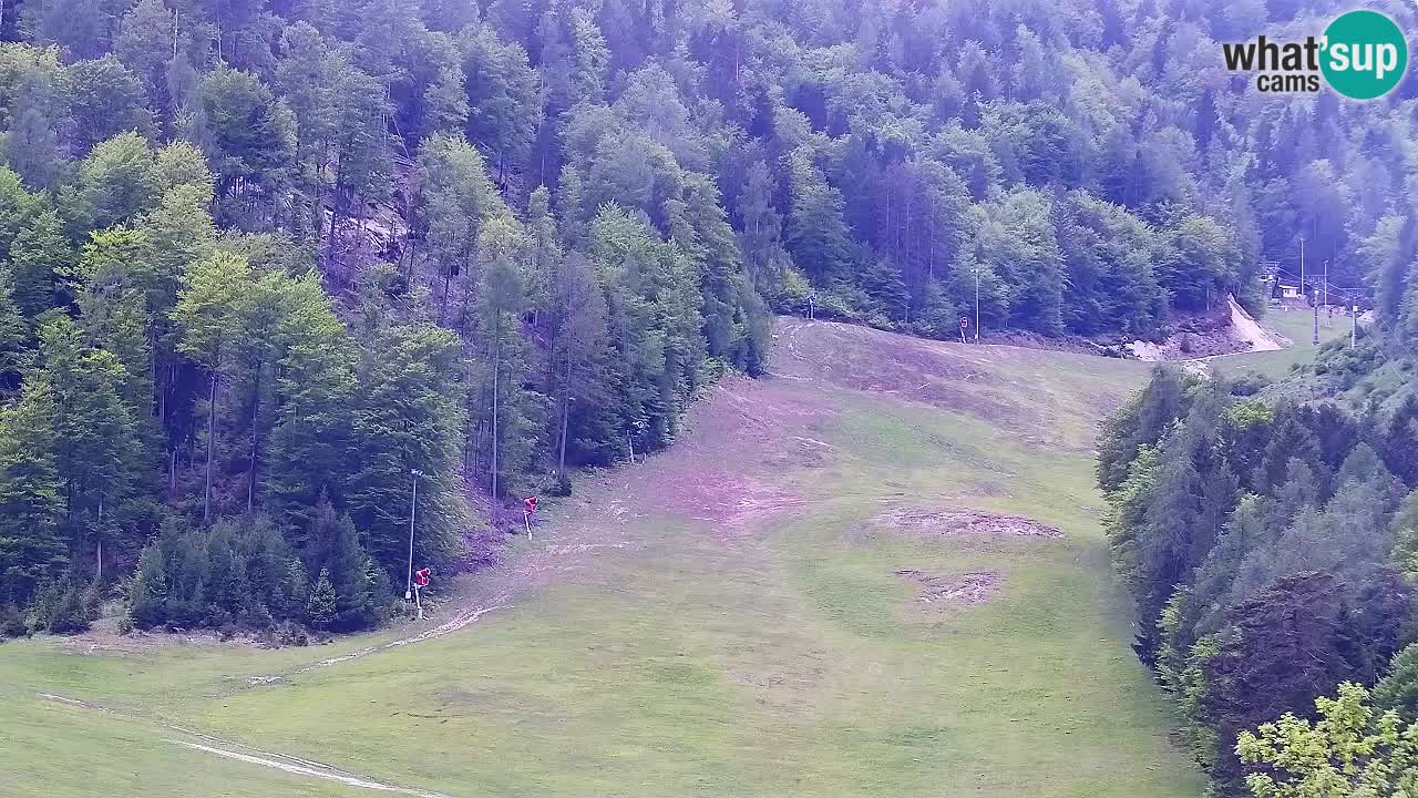 Spletna kamera Smučišče Kranjska Gora