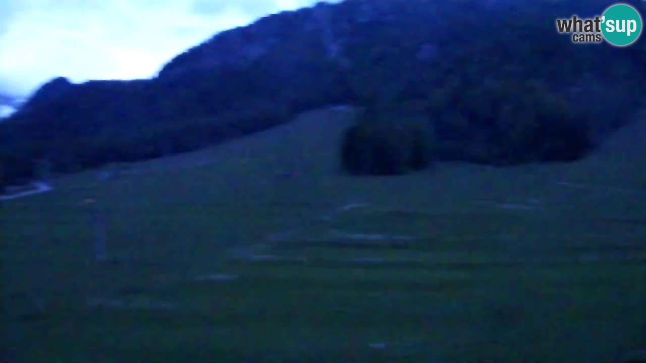 Webcam Kranjska Gora SKI – panoramica Piste centrali