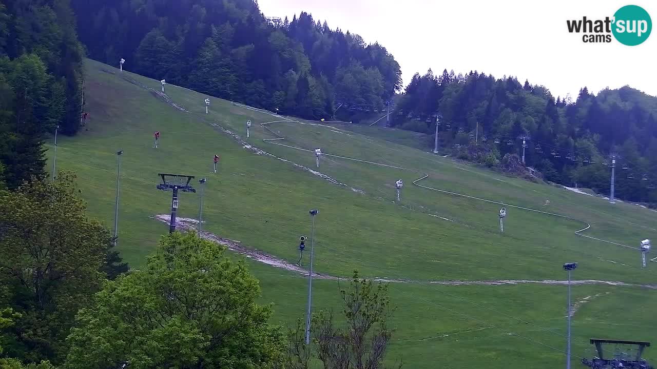 Spletna kamera Smučišče Kranjska Gora