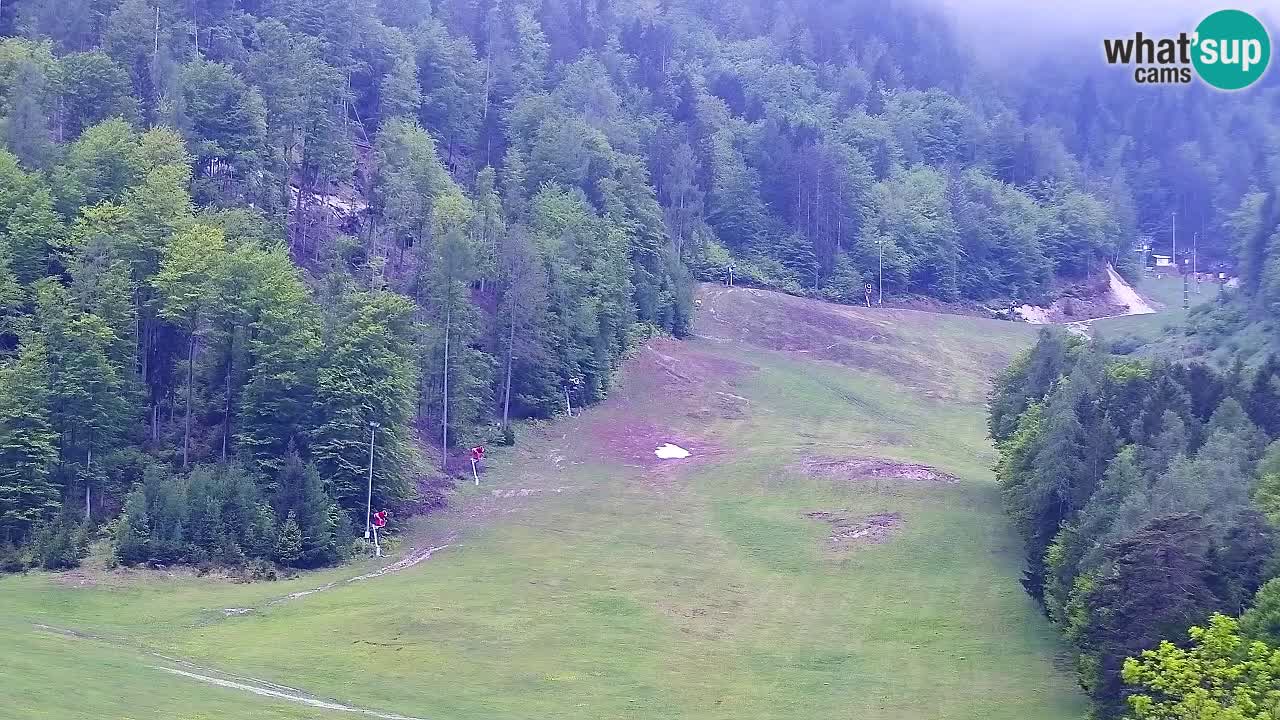 Webcam Kranjska Gora SKI – panoramica Piste centrali