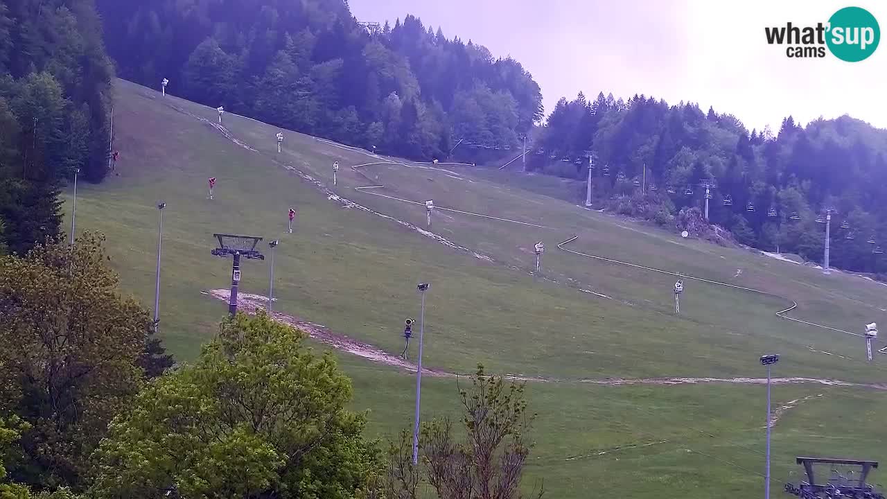 Spletna kamera Smučišče Kranjska Gora