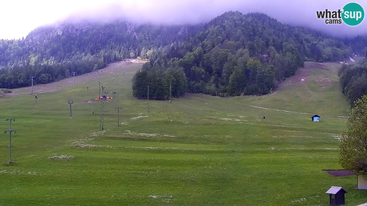 Webcam Estación de esquí Kranjska Gora – Eslovenia