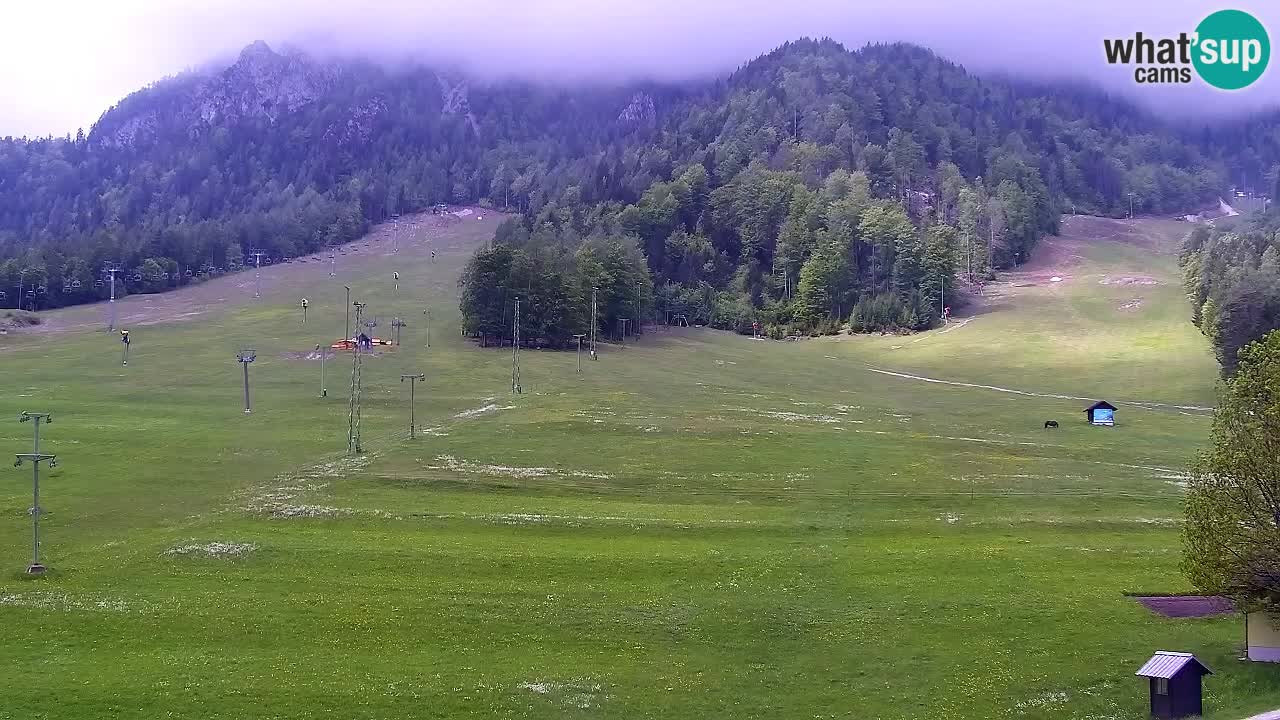 Webcam Kranjska Gora SKI – panoramica Piste centrali