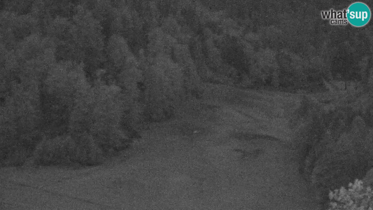 Webcam Skigebiet Kranjska Gora – Slowenien