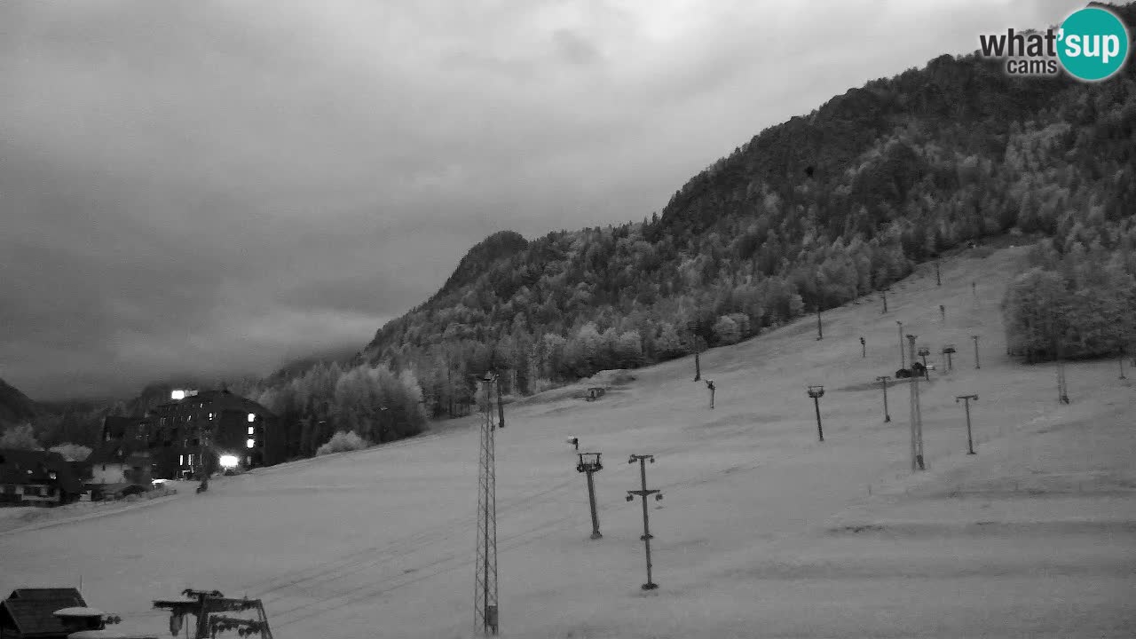 Webcam Kranjska Gora SKI – panoramica Piste centrali