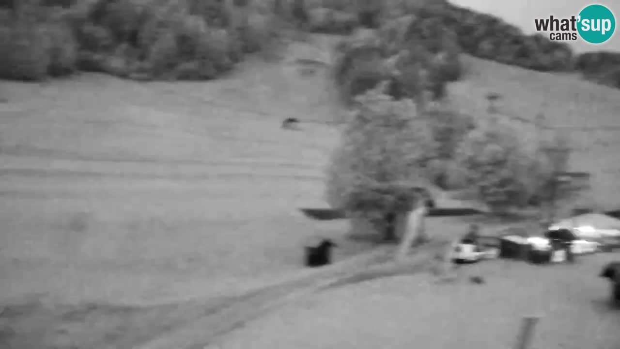 Webcam Skigebiet Kranjska Gora – Slowenien