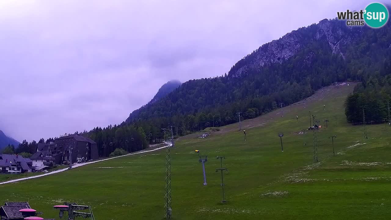Webcam Kranjska Gora SKI resort | Bech, Kekec, Mojca ski