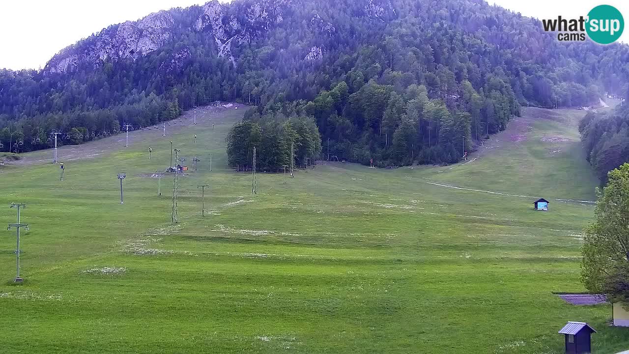 Webcam Estación de esquí Kranjska Gora – Eslovenia
