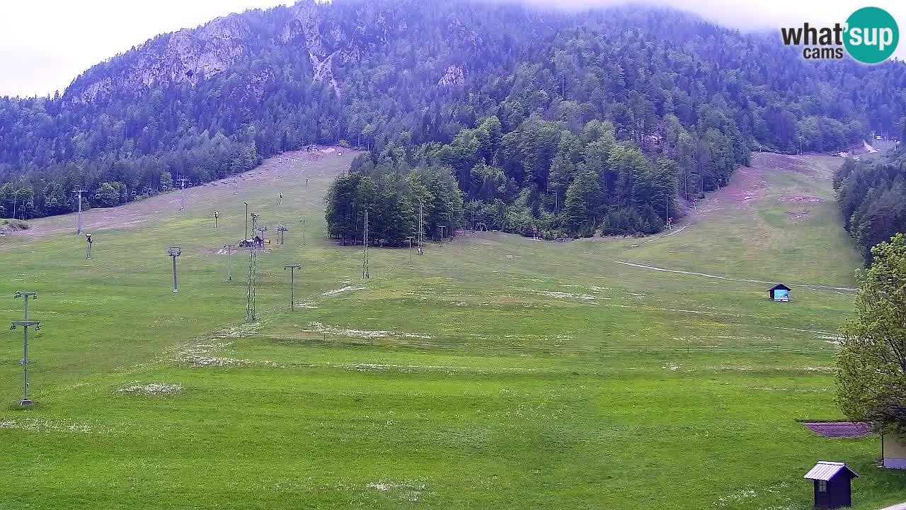 Webcam Kranjska Gora SKI resort | Bech, Kekec, Mojca ski