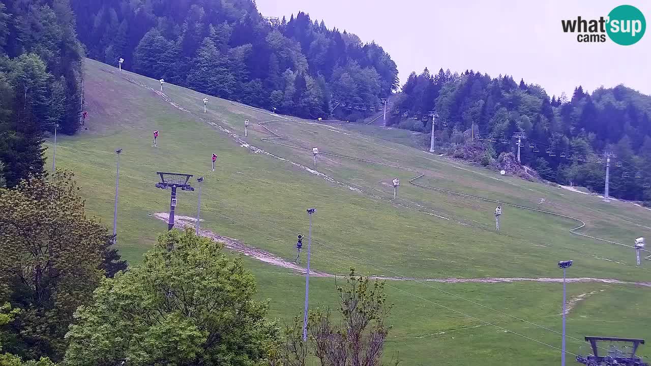 Webcam Kranjska Gora SKI – panoramica Piste centrali