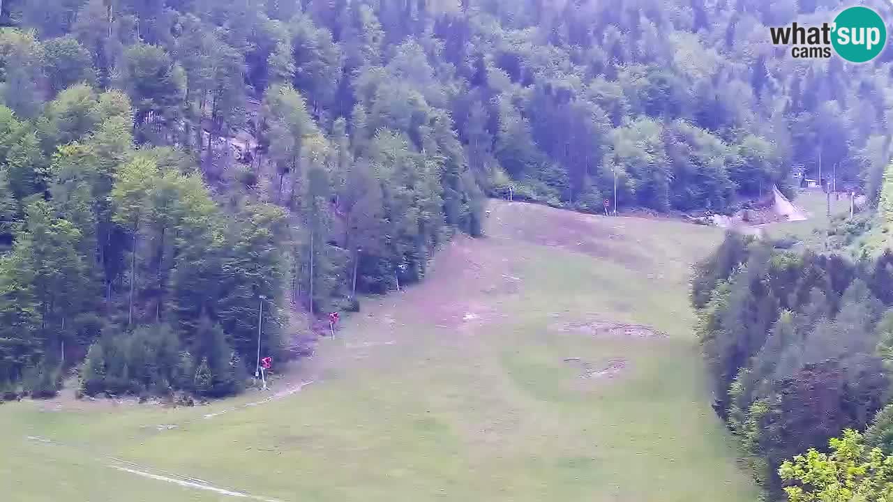 Webcam Skigebiet Kranjska Gora – Slowenien