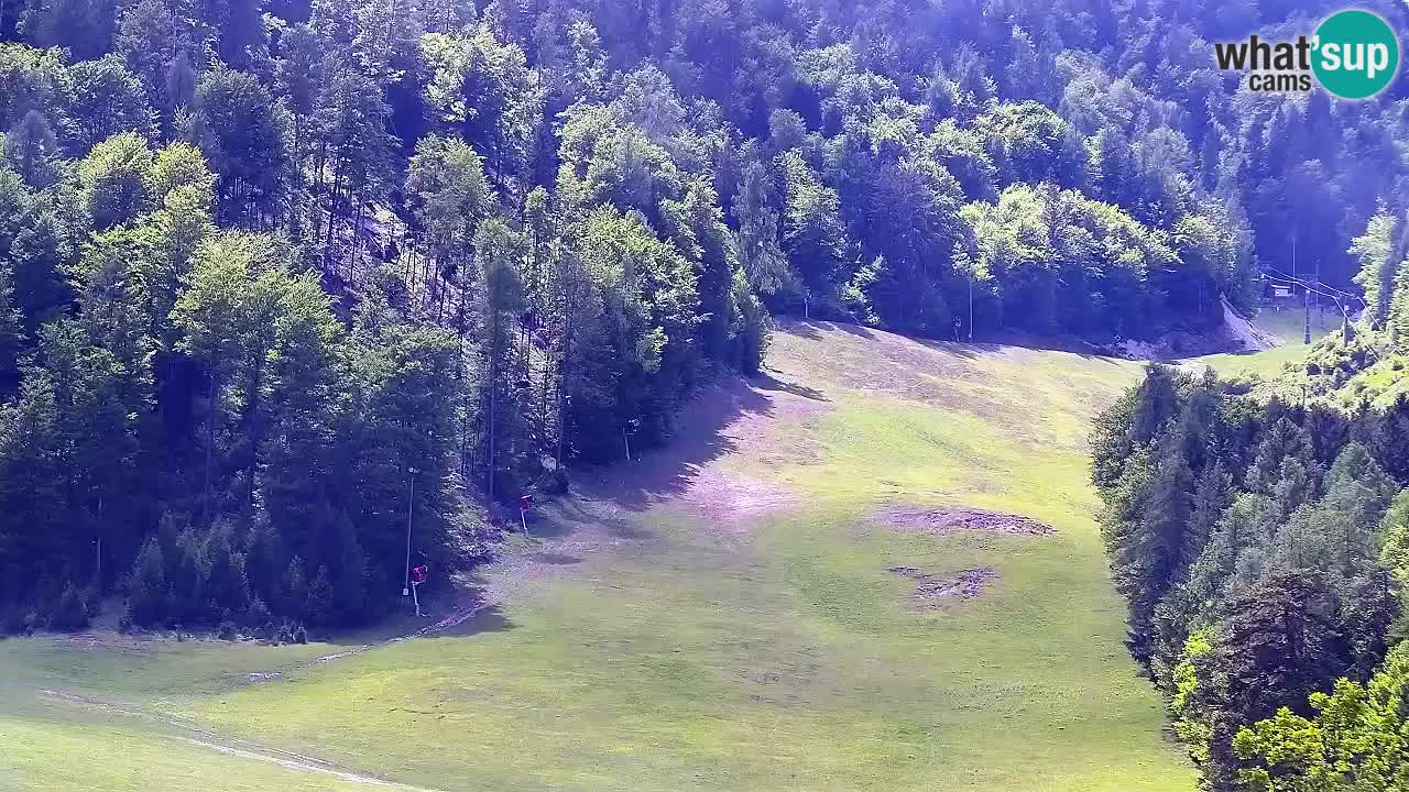 Webcam Kranjska Gora SKI resort | Bech, Kekec, Mojca ski