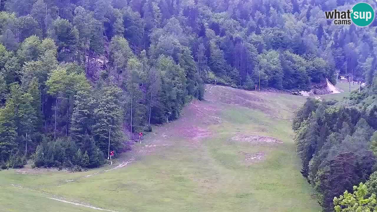 Webcam Station de ski Kranjska Gora – Slovénie
