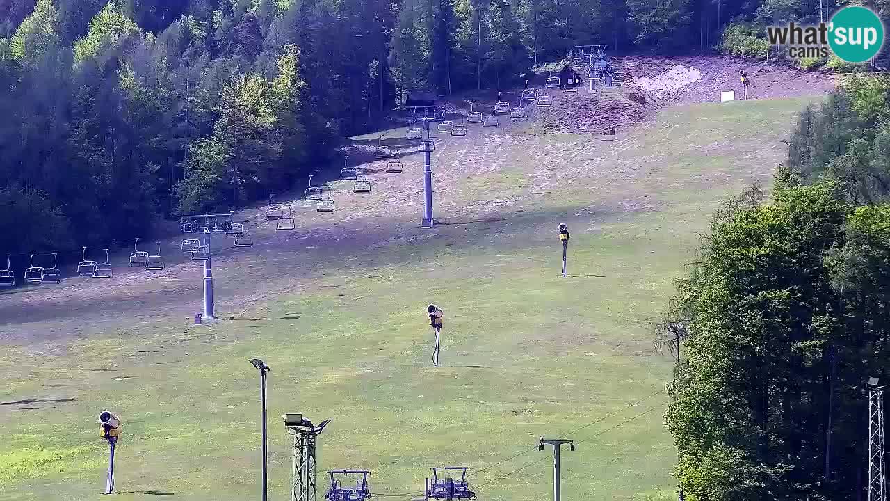 Webcam Kranjska Gora SKI resort | Bech, Kekec, Mojca ski