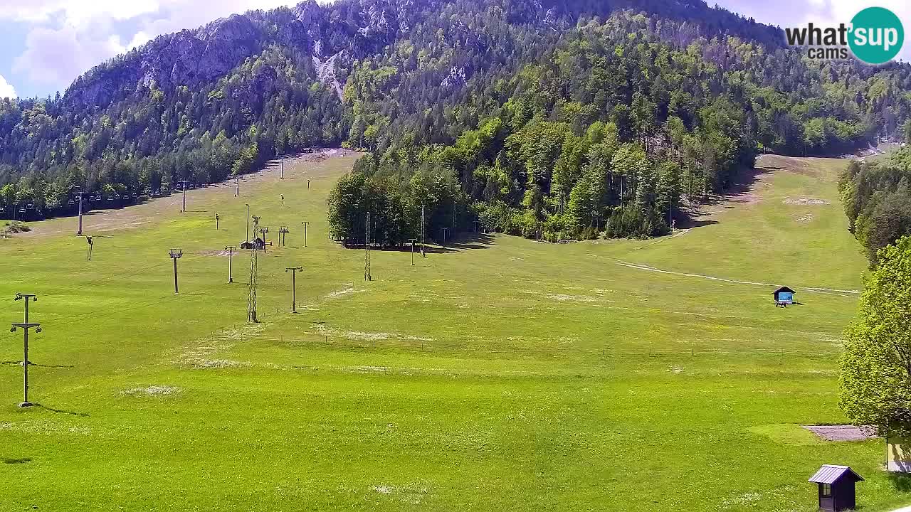 Webcam Kranjska Gora SKI resort | Bech, Kekec, Mojca ski
