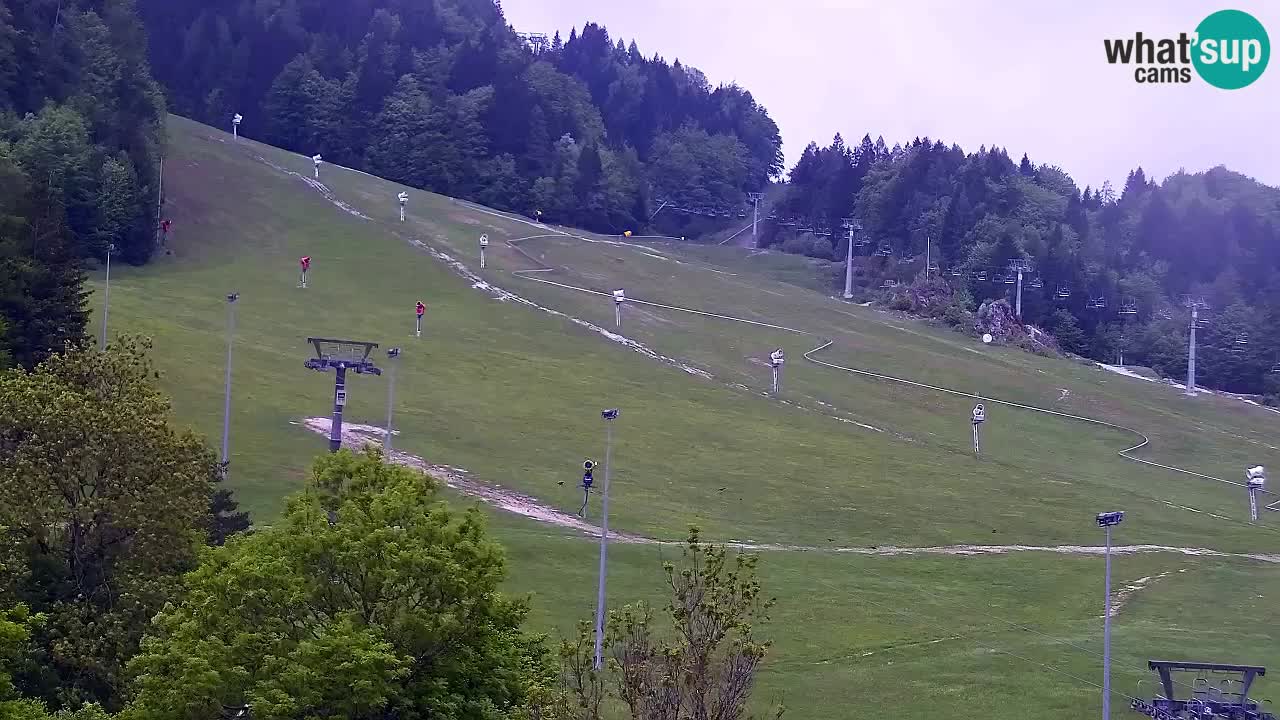 Webcam Skigebiet Kranjska Gora – Slowenien
