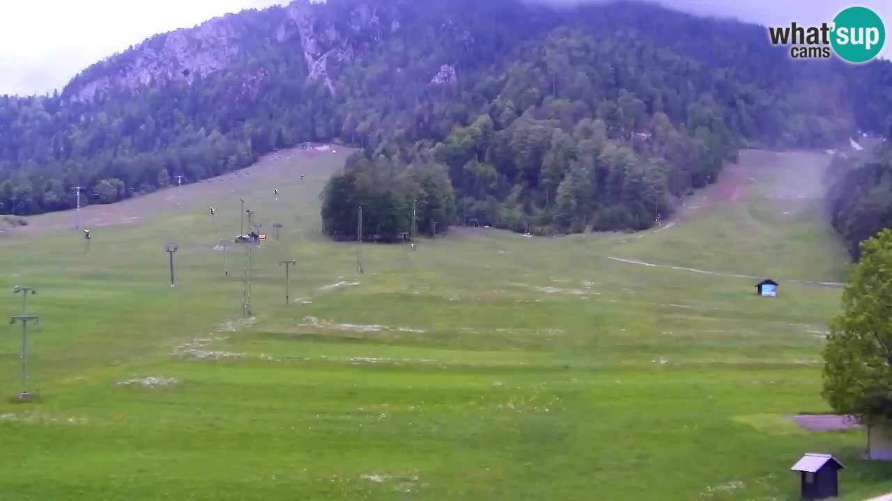 Webcam Station de ski Kranjska Gora – Slovénie