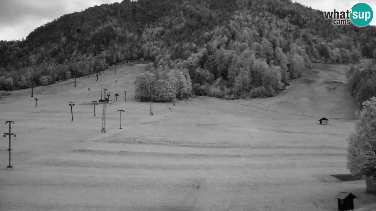 Webcam Ski resort Kranjska Gora – Slovenia