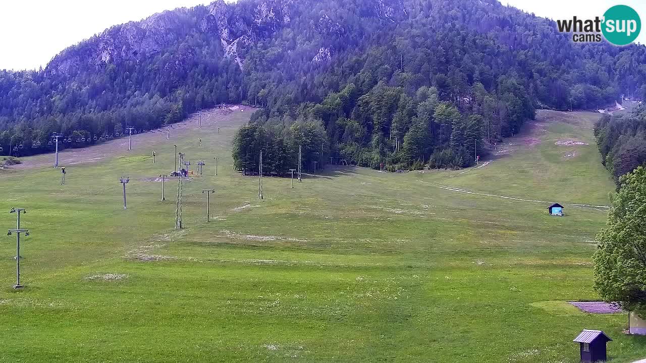 Spletna kamera Smučišče Kranjska Gora
